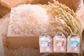 【平成天皇大嘗祭献上米】化学肥料不使用　原さんちのにこまる玄米5㌔