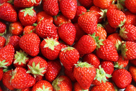 【いちごジャム向け】いちごたくさん採れちゃいました♪箱詰め1㎏