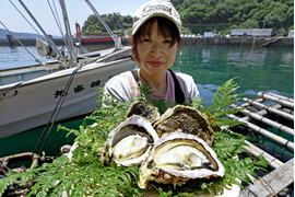【夏限定】超絶クリーミー　海の練乳！
大きい錦盛丸岩牡蠣300〜400グラム（7個入り）