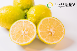 【天皇杯受賞農家】訳あり 高知県大月町産・農家直送 こじゃんとレモン 10kg（化学肥料/防腐剤/ワックス不使用）