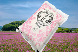 心が和らぐ れんげ米(コシヒカリ)5㎏ 環境に優しい農法に拘った自慢の米 【れんげ蜂蜜の蜜源れんげ畑】