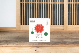 タネから育てた 農薬化学肥料を一切使っていない 小玉 スイカ  2.4～3.0kg x １個