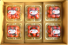 寿美令トマト🍅フルティカ（150gパック6個／ダンボール発送）フルーツトマト　ミニトマト　アイメック農法