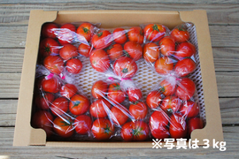 【旬本番・お買い得3kg×2箱】アルテトマトなかま☆深い旨味の高糖度トマト【お届け指定なし】～5%OFF～