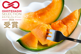 【秋メロン】有明育ちのくまもと産レノンメロン2玉