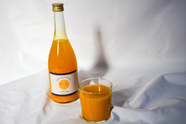 《期間限定40%OFF・2本入り》のうろくジュース◆オレンジ感たっぷり！濃厚な味わいを楽しめます！◆添加物・保存料不使用！