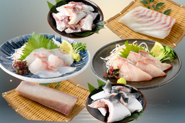 【福袋】百年漁師の真鯛と鰤食べ比べ①（熨斗対応可）