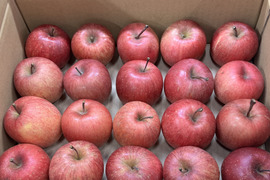 【極小玉・バラ詰め】サンふじ🍎家庭用約2.7Kg🍎毎日りんご　コスパ抜群　青森県産　数量限定