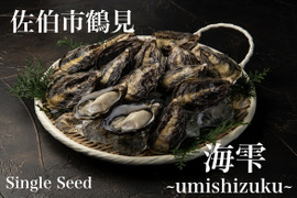さっぱり甘い！生食用真牡蠣！海雫~umishizuku~（20個）