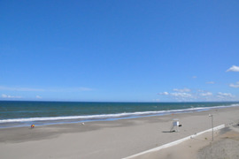 甘くみずみずしい　❣❣　　　　
　九十九里産　新玉ねぎ　4Kg