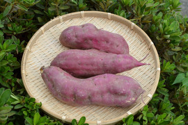 大分県のさつまいもで産地直送の商品｜食べチョク｜産地直送