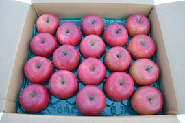 雪中貯蔵　黒石産サンふじ中玉家庭用5㎏