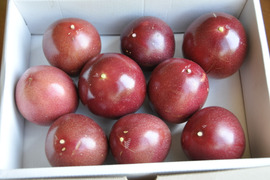 パッションフルーツ800g（家庭用）