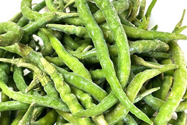 《冷凍》生唐辛子（青）あじめこしょう 群馬県産 300 g
