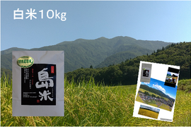 令和5年産 新米 特別栽培米 幻のコシヒカリ10k白米