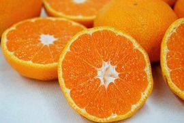 【訳あり】愛媛みかん １０ｋｇ　Ｓ～２Ｌ込み