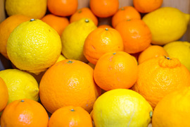 ［3kg］今が旬！春柑橘の詰め合わせ（4〜5種類・大小混合）【柑橘食べ比べ】