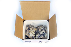旨味たっぷり！倉橋産生牡蠣むき身 大小混ざり ２kg