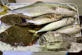 漁師のおまかせ鮮魚セット【冷凍】