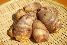 【栽培期間中　農薬不使用】えぐみが少なくねっとりな里芋(500g)
