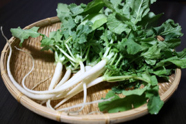 【本日収穫】【神鍋高原産】間引き大根１kg