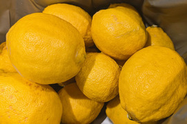 【露地もの食べ比べ】小ぶり晩白柚1個＆璃の香レモン1個