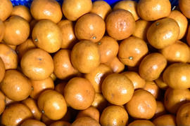 【濃厚・絶品】糖度17度以上の完熟極小玉ミカン『ぱっくん　仙ちゃん（田口）』　3kg