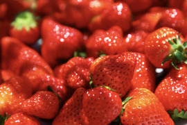 パクっと一口　美味しいイチゴよつぼし（1kg)