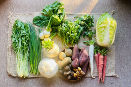 京都から聖護院かぶ1品+旬の野菜を詰め合わせ5品=6品目野菜セット