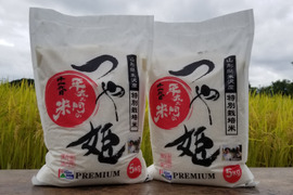 令和4年産　特別栽培米つや姫　精白米5㎏×2袋