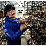 きのこハウスひらもと