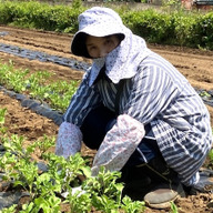 Crane Hills Farm（クレインヒルズ ファーム）