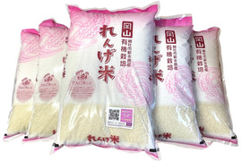 令和6年度新米　蓮華米【コシヒカリ】　白米