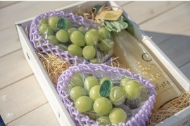 【冬ギフト】 ★パリパリ食感★贈答向け★シャインマスカット４５０ｇ～５００ｇ２房　★自家製ラフランス５００ｍｌジュース１本