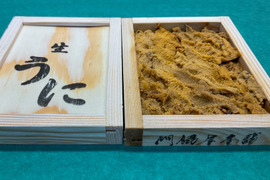 【入手困難】由良の黒ウニ/淡路島/本州ウニの最高峰【並】