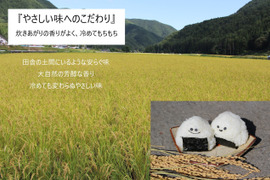 令和7年新米🍙自然栽培ミルキークイーン(玄米3㎏)“もちもちあまあま『小里米』” 農薬・肥料ともに不使用!