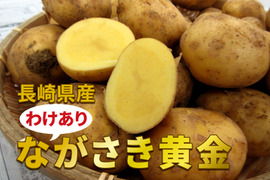【わけあり商品】希少品種！『ながさき黄金』10kg