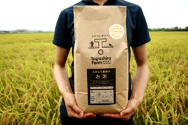 🏆未来を耕すお米賞【にじのきらめき白米5kg】【節水型乾田直播栽培】新しい栽培方法の特別なお米限定販売/新潟県令和７年産新米