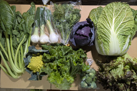 ❄☃️５品冬の野菜セット☃️❄