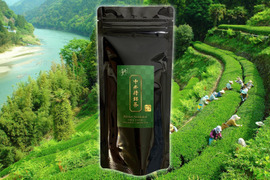 【2023年新茶】中井侍銘茶 85g 品種:やぶきた