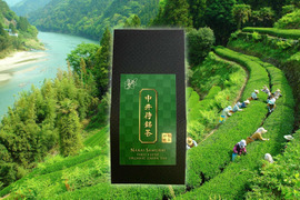 【2023年新茶】中井侍銘茶 45g 品種:やぶきた
