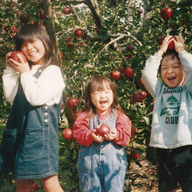 島田フルーツ農園