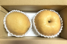 【冬ギフト】鳥取県産 冬の梨食べ比べセット 2玉入り(王秋・あたご2kg)