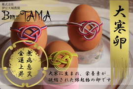 【大寒卵】無病息災・金運上昇の縁起物・平飼い養鶏卵『Bon-TAMA』M~Lサイズ（30個入り）
