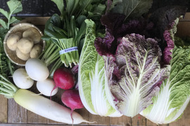 冬の味覚大集合‼️冬の京野菜セット 7品目【漢方栽培】