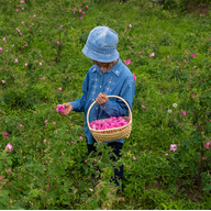 ふじさん花の蒸留所　ROSE FARM