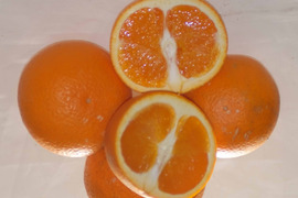 果汁たっぷり【きよみ清見】とっても美味４Kg和歌山産冷蔵便