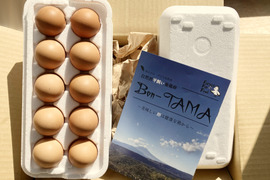 【採れたて新鮮たまご】平飼い養鶏卵『Bon-TAMA』M~Lサイズ・20個入り