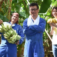 ぐしちゃん銀バナナ農園