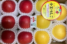 まるごとガブリっ！小玉・食べきりサイズMIXりんご【岩手奥州市江刺産】              小玉おまかせミックス2kg